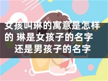 女孩叫琳的寓意是怎样的 琳是女孩子的名字还是男孩子的名字
