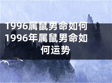 1996属鼠男命如何1996年属鼠男命如何运势
