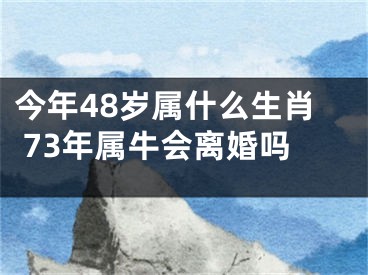 今年48岁属什么生肖 73年属牛会离婚吗