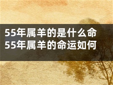 55年属羊的是什么命55年属羊的命运如何