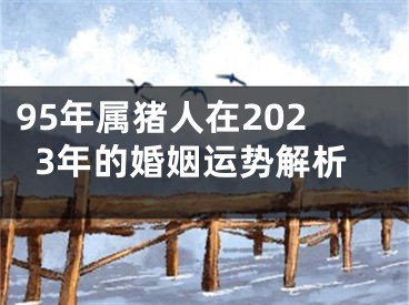 95年属猪人在2023年的婚姻运势解析