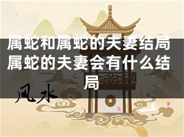 属蛇和属蛇的夫妻结局属蛇的夫妻会有什么结局