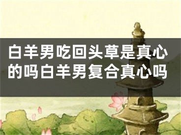 白羊男吃回头草是真心的吗白羊男复合真心吗