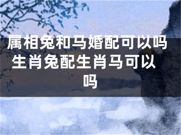 属相兔和马婚配可以吗 生肖兔配生肖马可以吗