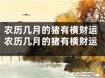 农历几月的猪有横财运农历几月的猪有横财运