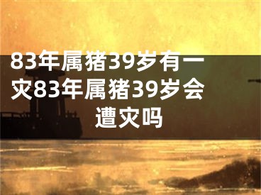 83年属猪39岁有一灾83年属猪39岁会遭灾吗