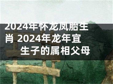 2024年怀龙凤胎生肖 2024年龙年宜生子的属相父母