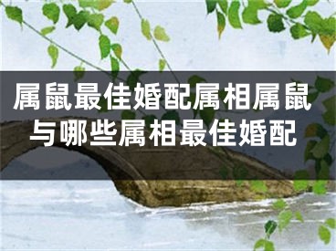 属鼠最佳婚配属相属鼠与哪些属相最佳婚配