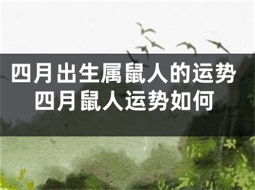 四月出生属鼠人的运势四月鼠人运势如何