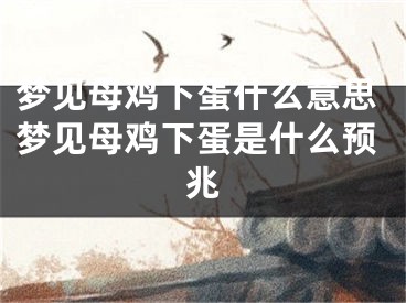 梦见母鸡下蛋什么意思梦见母鸡下蛋是什么预兆