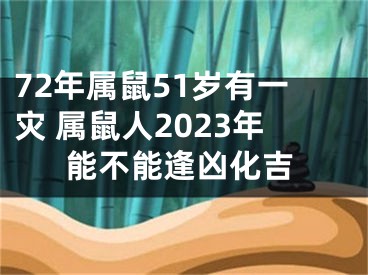 72年属鼠51岁有一灾 属鼠人2023年能不能逢凶化吉