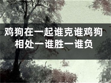 鸡狗在一起谁克谁鸡狗相处一谁胜一谁负