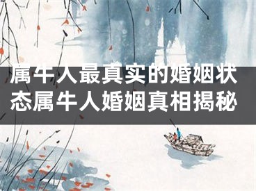属牛人最真实的婚姻状态属牛人婚姻真相揭秘