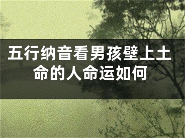 五行纳音看男孩壁上土命的人命运如何