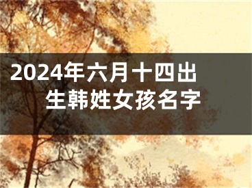 2024年六月十四出生韩姓女孩名字