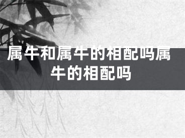 属牛和属牛的相配吗属牛的相配吗