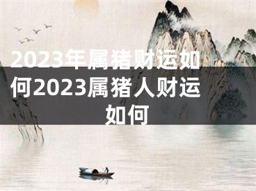 2023年属猪财运如何2023属猪人财运如何