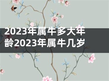 2023年属牛多大年龄2023年属牛几岁
