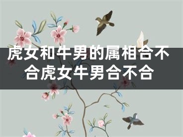 虎女和牛男的属相合不合虎女牛男合不合