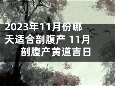 2023年11月份哪天适合剖腹产 11月剖腹产黄道吉日
