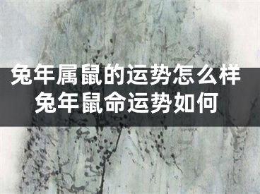 兔年属鼠的运势怎么样兔年鼠命运势如何