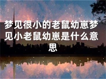 梦见很小的老鼠幼崽梦见小老鼠幼崽是什么意思