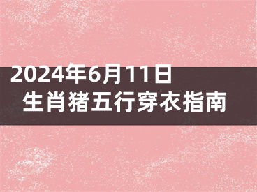 2024年6月11日生肖猪五行穿衣指南