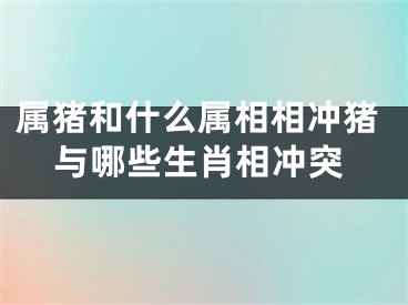 属猪和什么属相相冲猪与哪些生肖相冲突