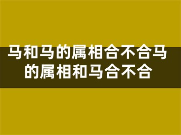 马和马的属相合不合马的属相和马合不合