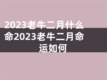 2023老牛二月什么命2023老牛二月命运如何
