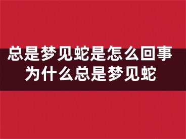 总是梦见蛇是怎么回事为什么总是梦见蛇