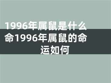 1996年属鼠是什么命1996年属鼠的命运如何
