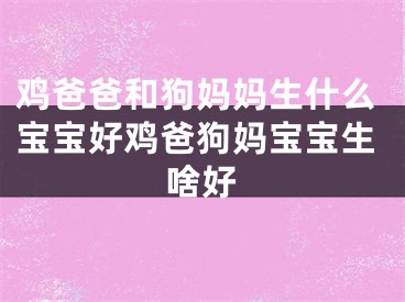 鸡爸爸和狗妈妈生什么宝宝好鸡爸狗妈宝宝生啥好