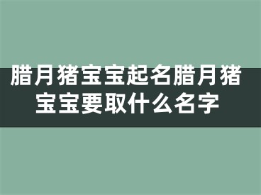 腊月猪宝宝起名腊月猪宝宝要取什么名字