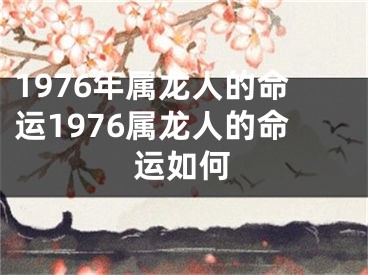 1976年属龙人的命运1976属龙人的命运如何