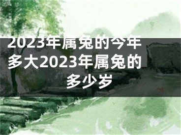 2023年属兔的今年多大2023年属兔的多少岁