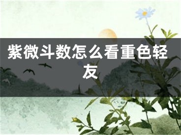 紫微斗数怎么看重色轻友
