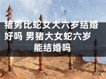 猪男比蛇女大六岁结婚好吗 男猪大女蛇六岁能结婚吗