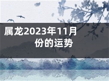 属龙2023年11月份的运势