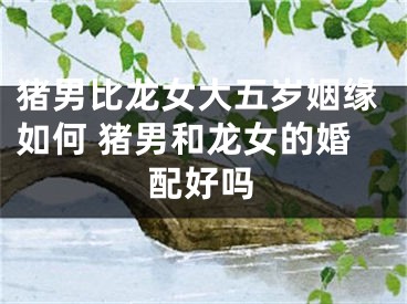猪男比龙女大五岁姻缘如何 猪男和龙女的婚配好吗