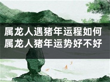 属龙人遇猪年运程如何属龙人猪年运势好不好