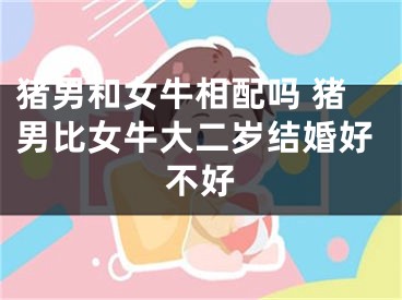 猪男和女牛相配吗 猪男比女牛大二岁结婚好不好