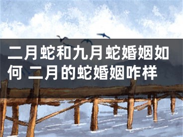 二月蛇和九月蛇婚姻如何 二月的蛇婚姻咋样