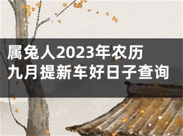 属兔人2023年农历九月提新车好日子查询