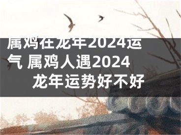 属鸡在龙年2024运气 属鸡人遇2024龙年运势好不好
