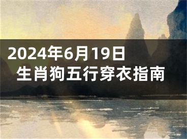 2024年6月19日生肖狗五行穿衣指南