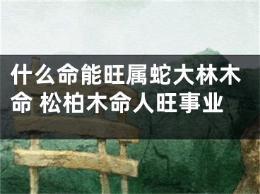 什么命能旺属蛇大林木命 松柏木命人旺事业