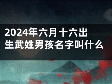 2024年六月十六出生武姓男孩名字叫什么