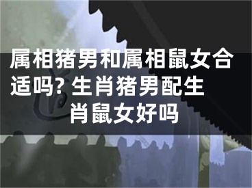 属相猪男和属相鼠女合适吗? 生肖猪男配生肖鼠女好吗
