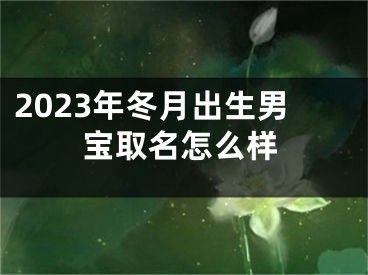 2023年冬月出生男宝取名怎么样